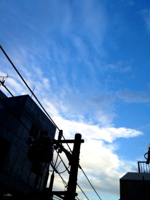 IMG_3007.jpg
